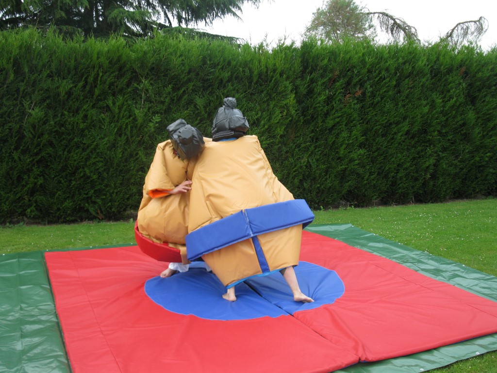 Photo n°2 représentant le produit "Les sumos"