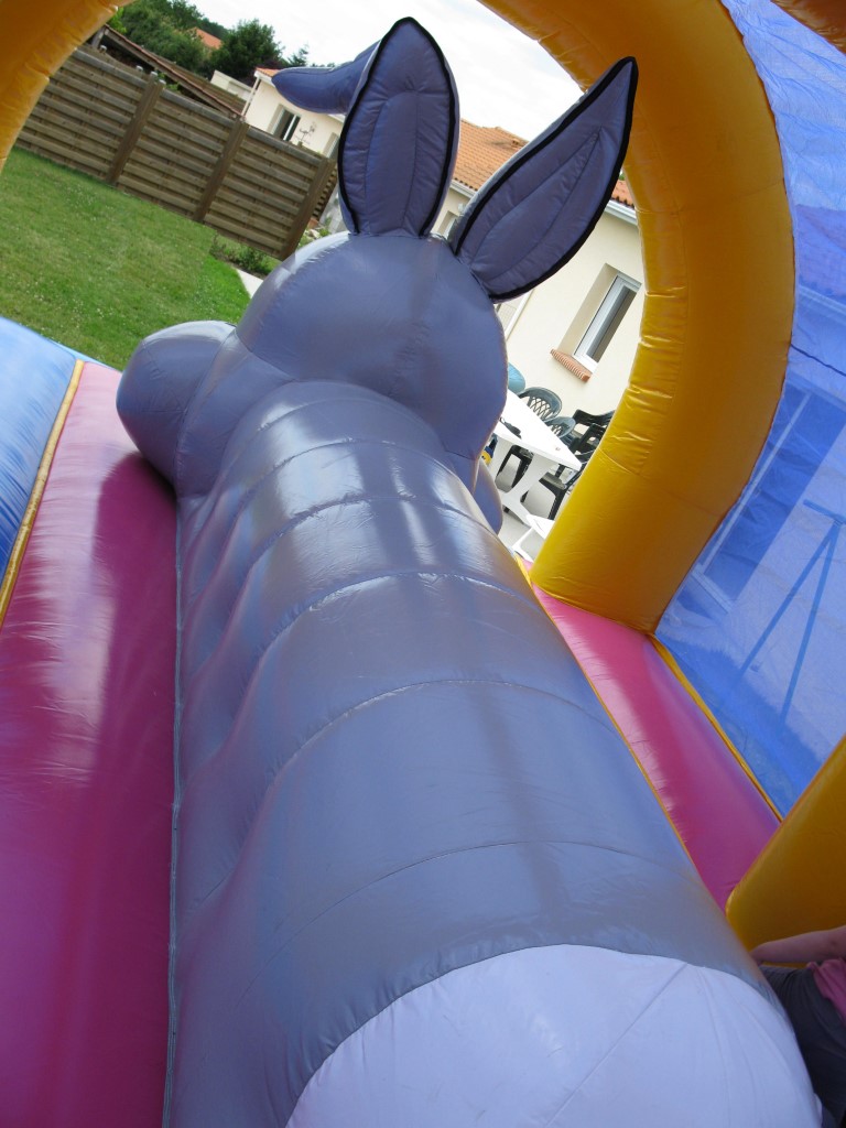 Photo n°2 représentant le produit "Le lapin"