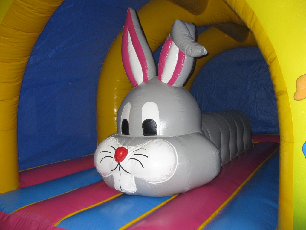Photo n°3 représentant le produit "Le lapin"